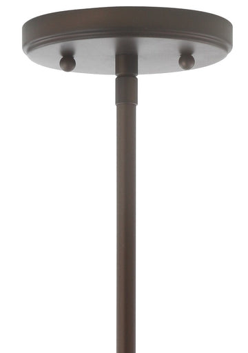 Kurtz School House Adjustable Drop Metal/Glass LED Pendant